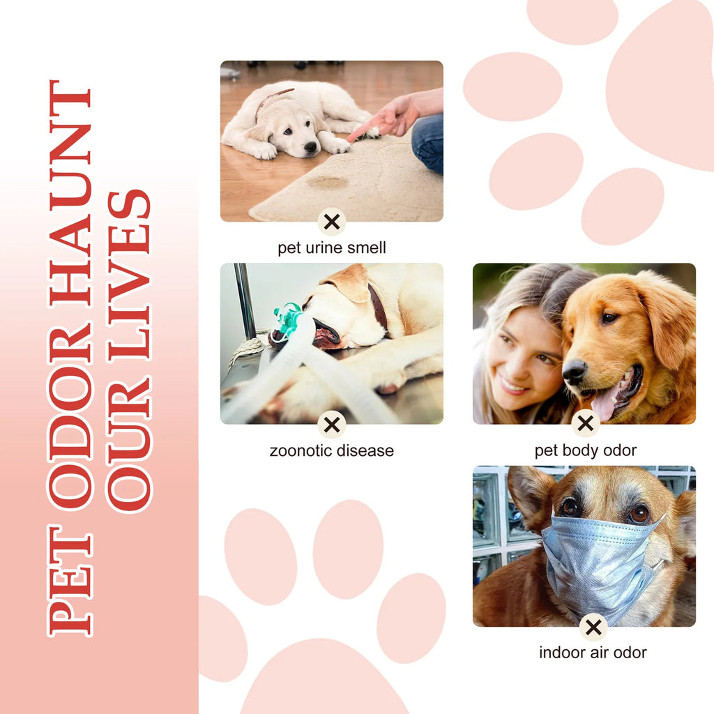Pet Odor Eliminator Spray Dog Liquid Fragrance Body Odor Removal Smell Great Long Lasting Clean Deodorant Cat Liquid Perfumes
