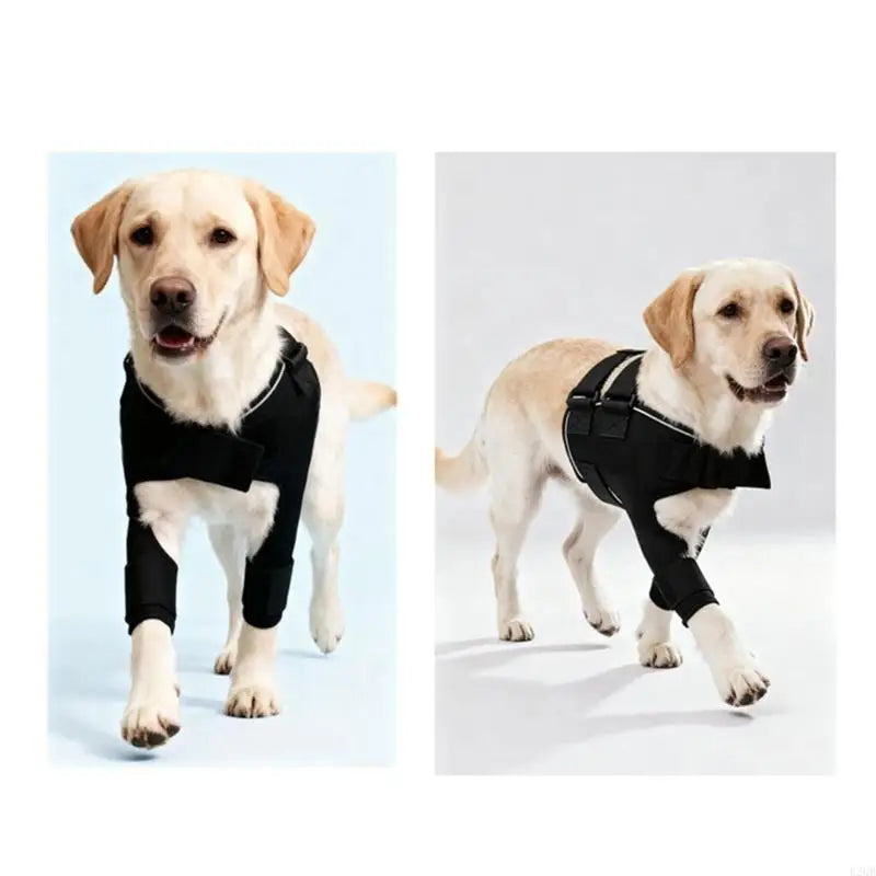 Adjustable Dog Shoulder Harness Knee Brace Joint Wrap for Front Leg Protecting