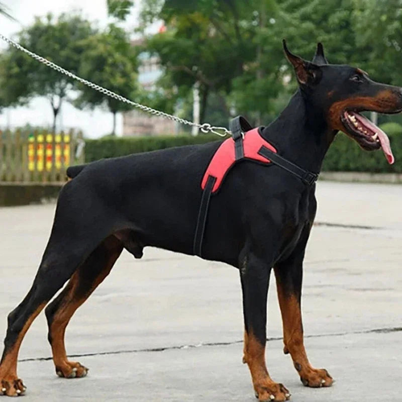 Adjustable Dog Harness Pet Large Dog Walk Out Harness Vest Collar for Small Medium Large Dogs Pets Accessories ﻿