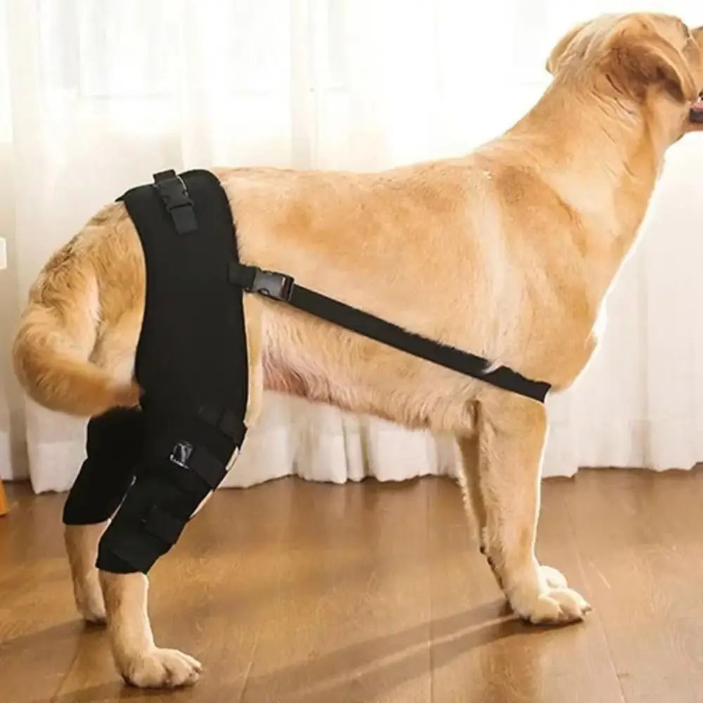 Adjustable Dog Knee Brace Breathable Comfortable Rear Leg Knee Brace with Reflective Strip Durable Dog Leg Support Brace