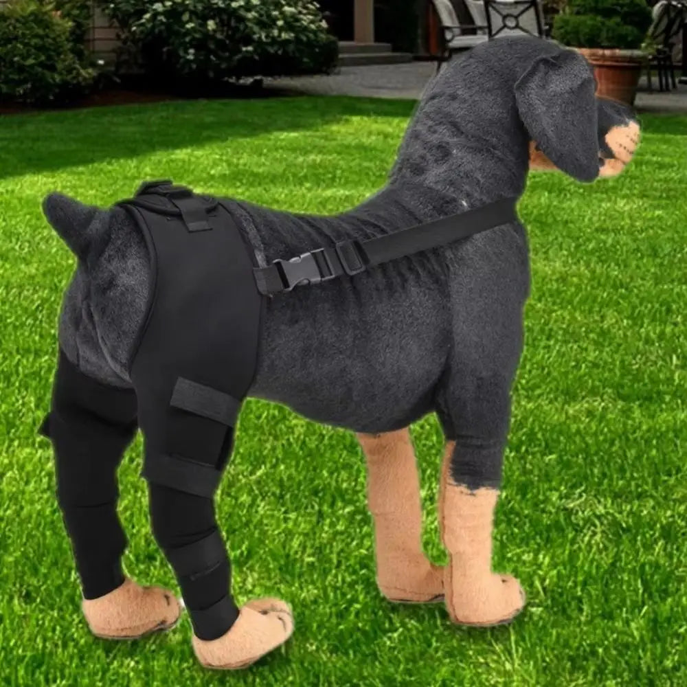 Adjustable Dog Knee Brace Breathable Comfortable Rear Leg Knee Brace with Reflective Strip Durable Dog Leg Support Brace