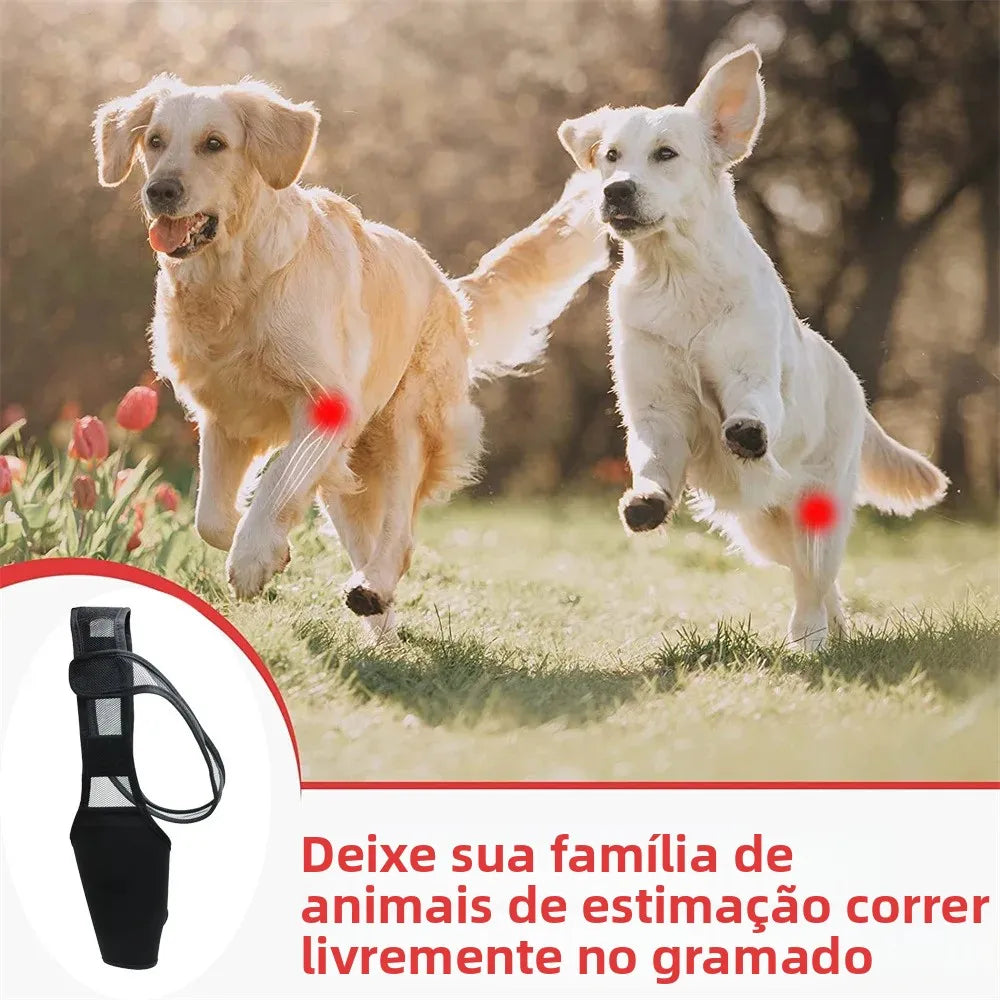 Pet Dog Knee Brace for Joint Pain Muscle Sore Leg Brace Rear Leg Bracer Support for Elderly Disabled Injured Dogs Knee Brace