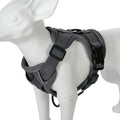 Harness and Leash Set Pet Accessories Dog Harness For Small Dog French Bulldog Pug Pitbull Puppy Pectoral Collar Chiens Supplies