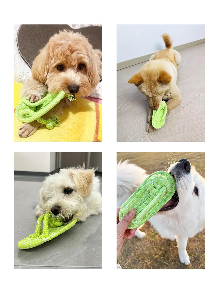 Durable Cotton Rope Slipper Knot Dog Chew Toy Small Dog Interactive Teeth Cleaning Molar Tartar Removal Safe Pet Chew Supplies