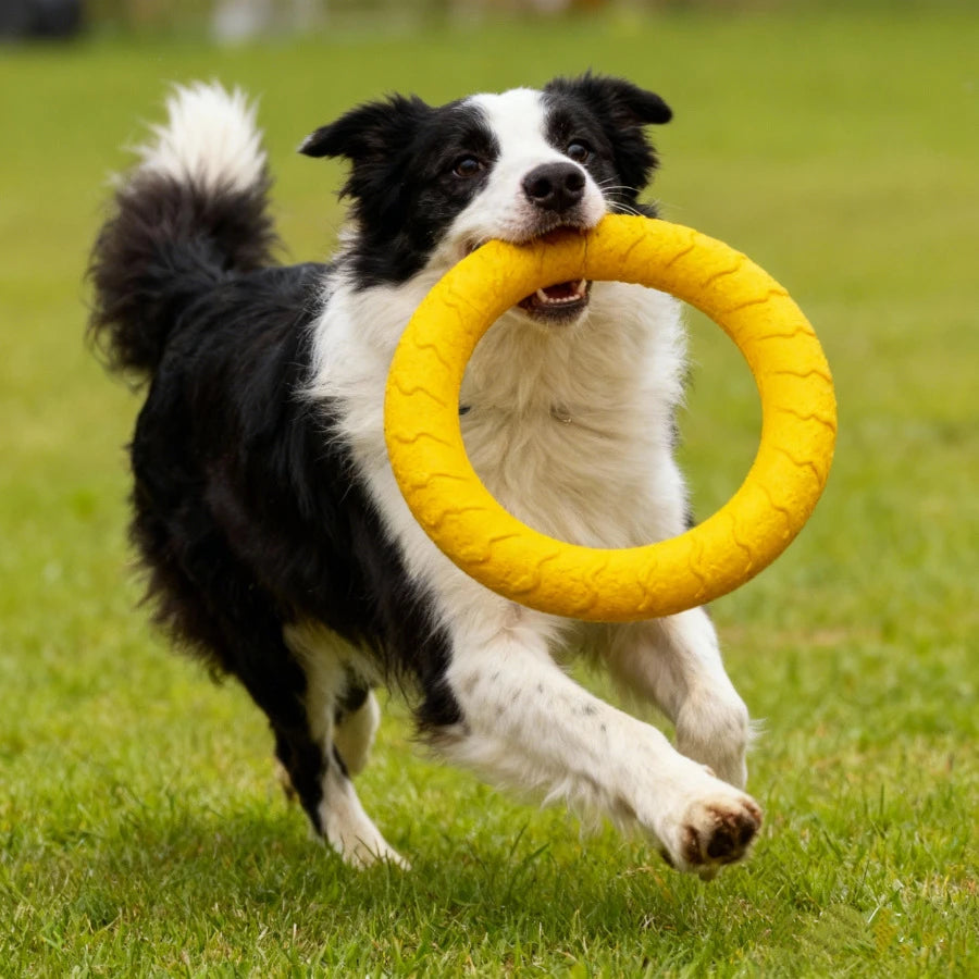 Dog Toys Pet Flying Discs EVA Dog Flying Disc Ring for Fetch Tug Games Soft Safe Chew Toy for Large Dogs Puppies Outdoor Play