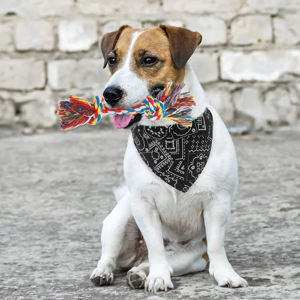 Dog Bandana Collar Scarf Cat Bandana Collar Adjustable Pet Collars for Puppy Cats Kitten Small Dogs Bandanas Scarf for Chihuahua