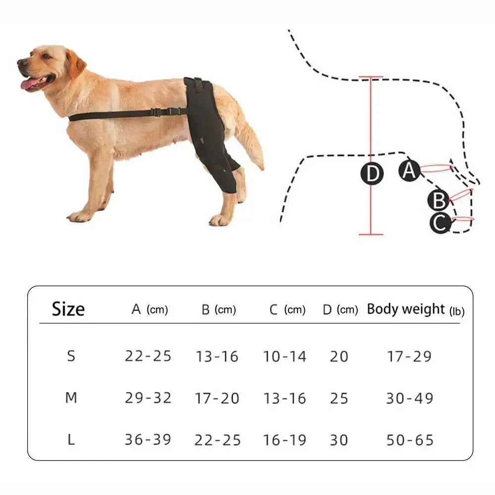 Adjustable Dog Knee Brace Breathable Comfortable Rear Leg Knee Brace with Reflective Strip Durable Dog Leg Support Brace