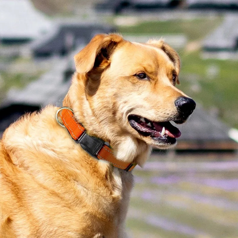 10 Colors Pet Dog Collar Nylon Neck Collar for Small Mdium Large Dog Chihuahua Leash Reflective Collars Supplies Pet Accessories